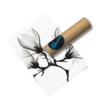 Plakat Vintage magnolia