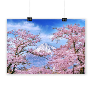Plakat Fuji mountain and cherry blossoms