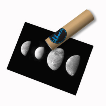 Plakat Moons Family Portrait  Original from NASA