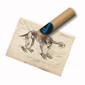 Plakat Megatherium by Charles Dessalines D'Orbigny