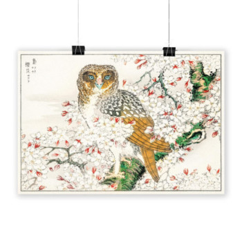 Plakat Owl and Cherry Flower
