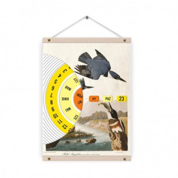 Kalendarz wieczny Audubon Belted-Kingfishert