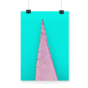 Plakat Aloe pink leaf