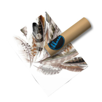 Plakat Bird feathers