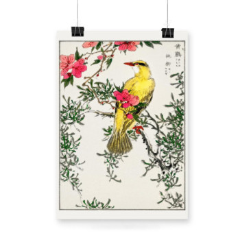 Plakat Chinese Bush warbler