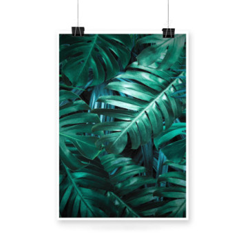 Plakat Green tropical leaves