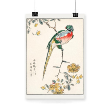 Plakat Macaw and Drooping Peach