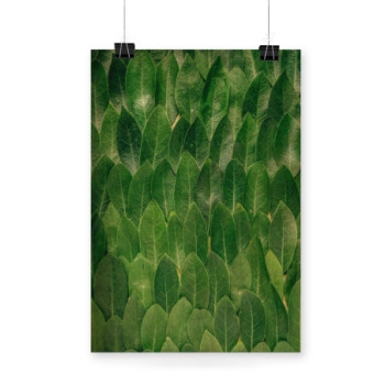 Plakat Leaves