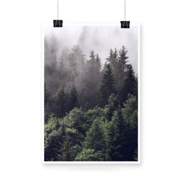 Plakat Mystic_forest