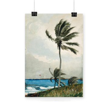 Plakat Palm Tree by Homer 1898