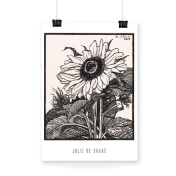 Plakat Sunflower